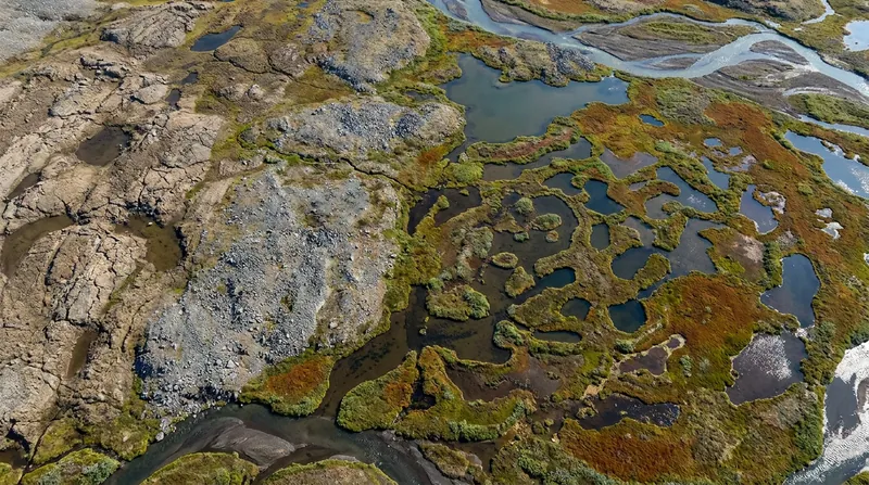 The carbon-trapping effect is highly dependent on local hydrology, working best in well-drained, rocky soils.