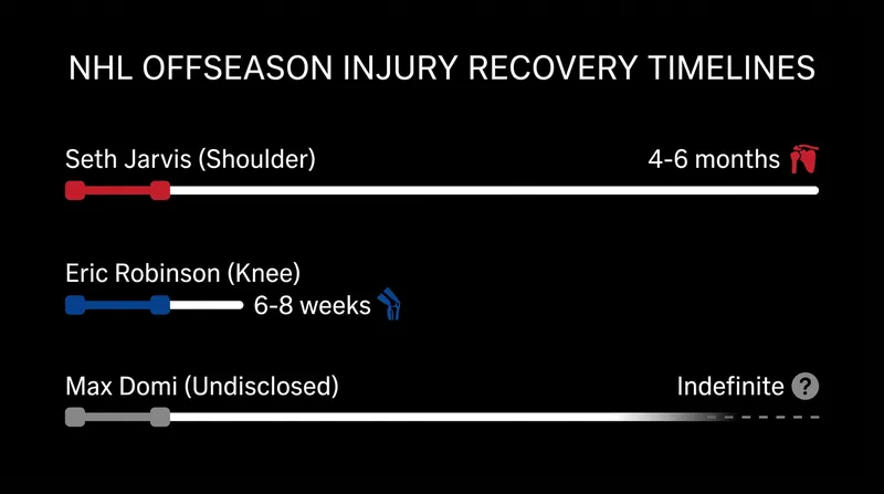 Expected recovery timelines for key NHL players following their offseason procedures.