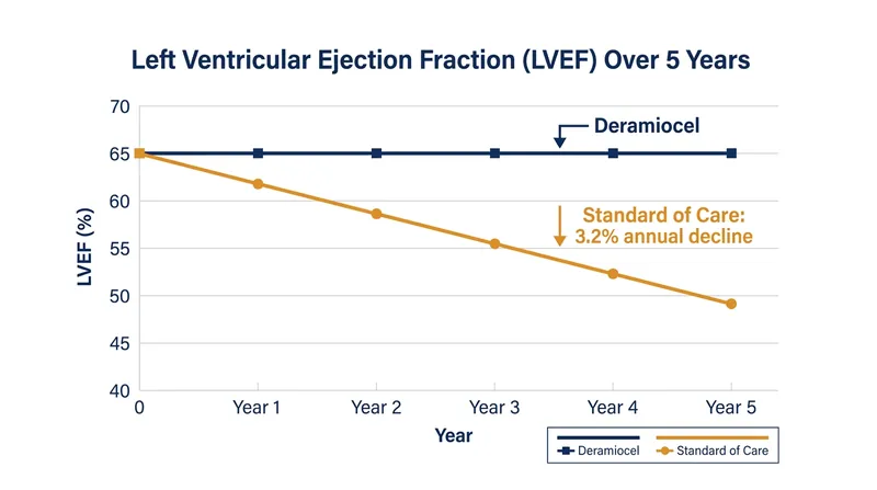Cardiac MRI data showed that deramiocel stabilized heart pumping function over five years, contrasting with the expected natural decline.