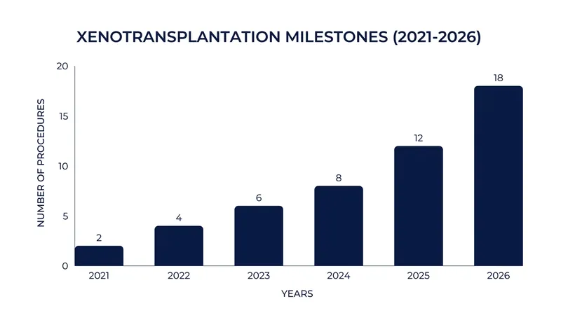 Xenotransplantation has rapidly progressed from brain-dead models to living human clinical trials.