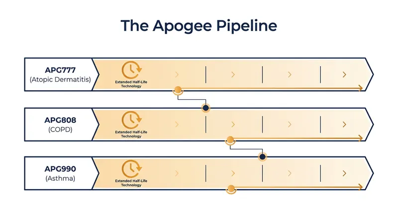 Apogee's clinical pipeline focuses on extending the half-life of targeted immunology treatments.