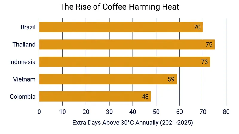 Major coffee-producing nations are experiencing a surge in days where temperatures exceed the 30°C threshold, severely stressing traditional plants.