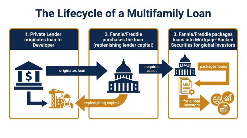 Fannie Mae and Freddie Mac do not lend directly; they purchase loans to keep private lenders capitalized.