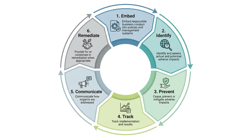 Companies must build an ongoing, auditable due diligence program based on the OECD framework.