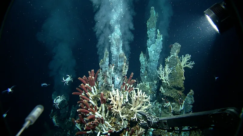 Deep-sea ecosystems harbor extremophile organisms that hold immense potential for pharmaceutical and industrial discoveries.