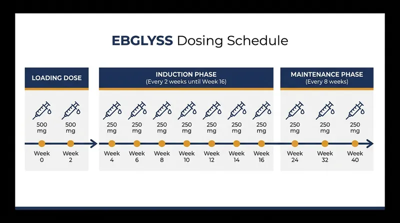 Patients step down to the eight-week maintenance schedule only after an initial 16-week induction phase.