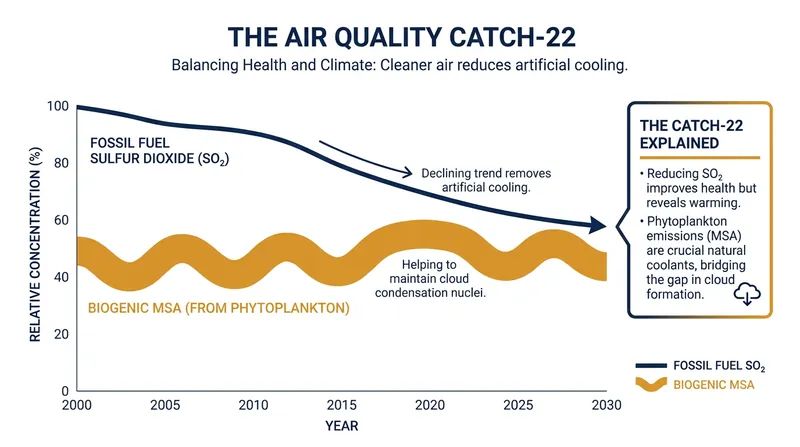 As industrial sulfur pollution declines, natural marine emissions are proving more capable of sustaining cloud cover than previously modeled.