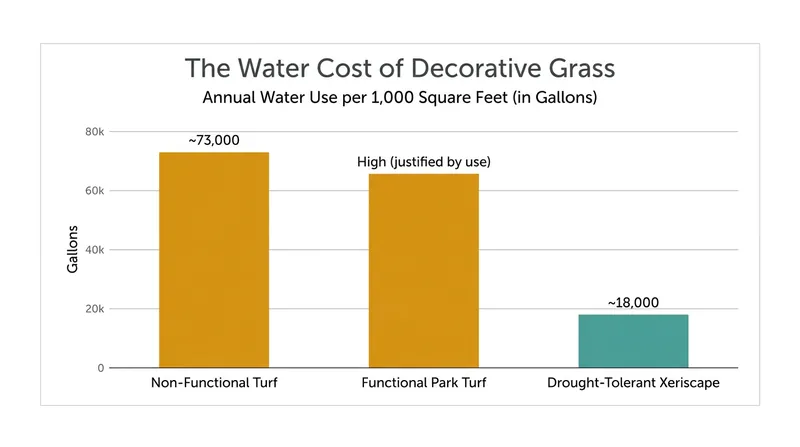 Replacing unused grass with desert-friendly plants cuts water consumption by roughly 75 percent.