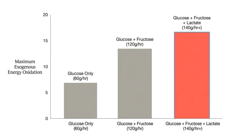The addition of lactate pushes total fuel oxidation beyond the previous 120g/hr ceiling.