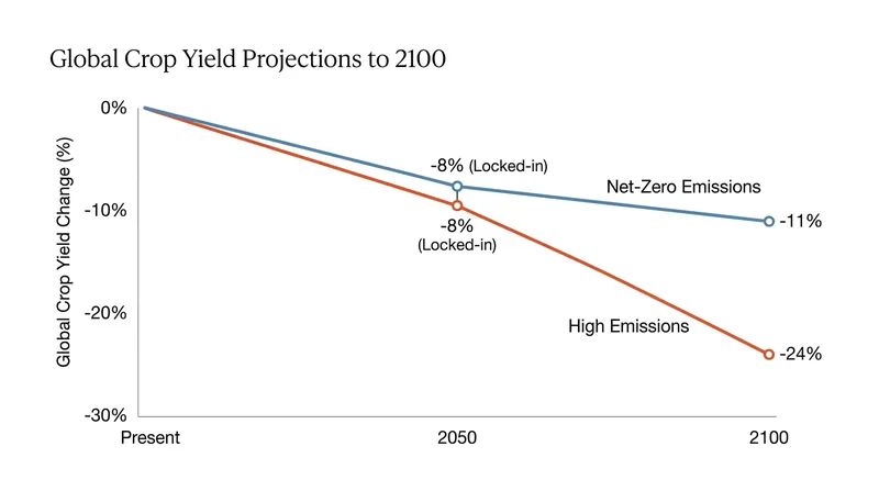 Projected global crop yield declines under different emissions scenarios.