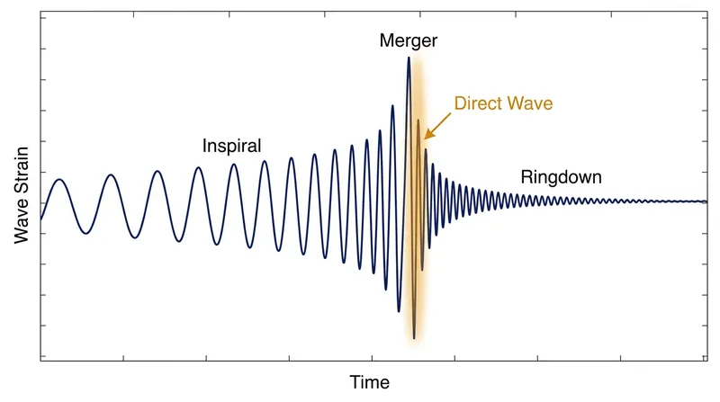 The 'direct wave' occurs in a fleeting window between the peak of the merger and the familiar ringdown phase.