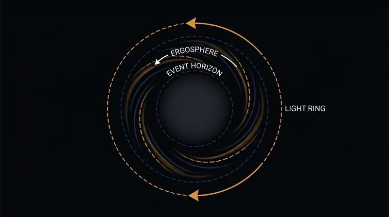 While traditional ringdown signals originate from the outer light ring, the newly isolated direct wave carries information from the event horizon itself.