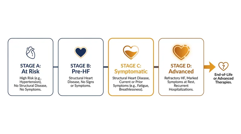 The updated framework emphasizes identifying patients in Stages A and B, before structural damage causes symptoms.
