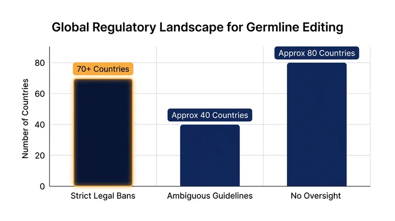 The global regulatory landscape for human germline editing remains highly fragmented.