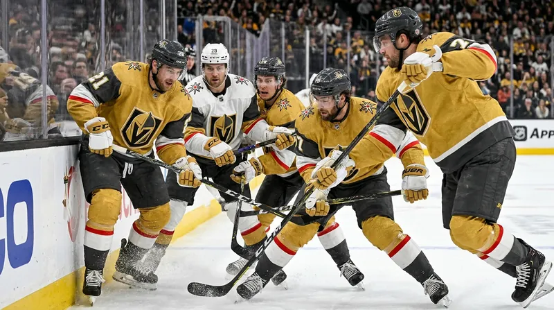 The Vegas Golden Knights revealed a staggering list of injuries their roster played through during the Stanley Cup Final.