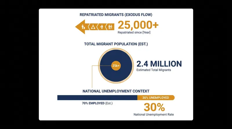 South Africa's migrant population and the scale of recent repatriations.