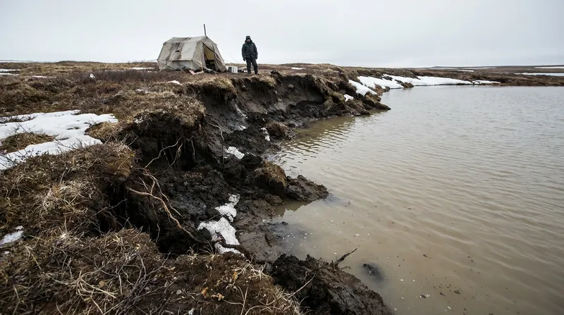As Arctic permafrost thaws, microbes break down ancient organic matter, releasing potent greenhouse gases.