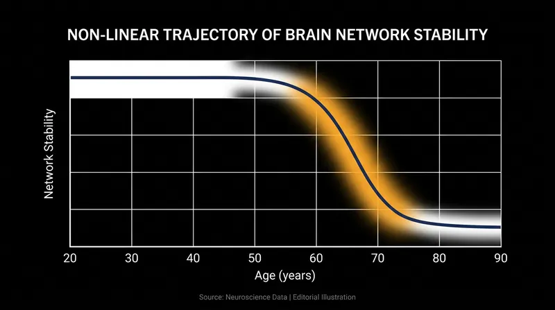 Data from over 19,000 functional MRI scans shows that brain network destabilization follows a sigmoidal curve, accelerating sharply in late midlife.
