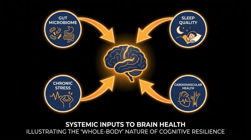 The American Heart Association emphasizes that brain health is heavily influenced by systemic factors, including the gut-brain axis and cardiovascular function.