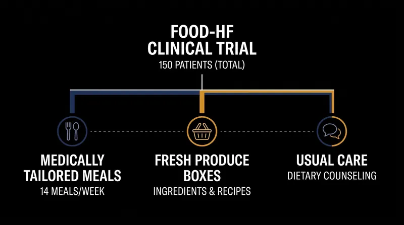 Participants in the FOOD-HF trial were randomized into three distinct dietary interventions for 90 days.