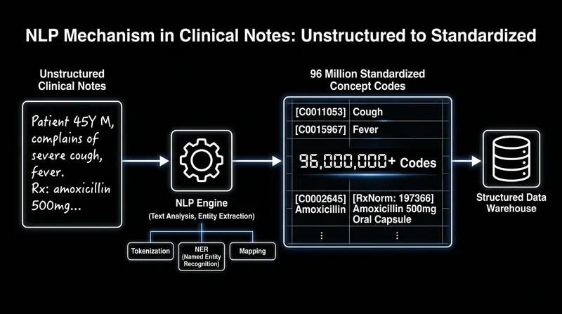 How AI extracts structured medical concepts from unstructured physician notes.
