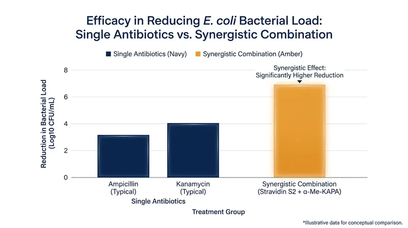 In animal models, the combination of megacluster compounds proved highly effective against multidrug-resistant E. coli.