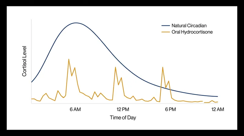 Oral hormone pills create jagged spikes in cortisol levels, whereas the bioprinted tissue restores a smooth, natural circadian rhythm.