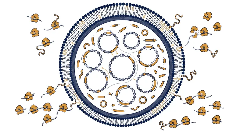 SpudCell's architecture relies on a minimal 90,000-base-pair genome distributed across seven plasmids.