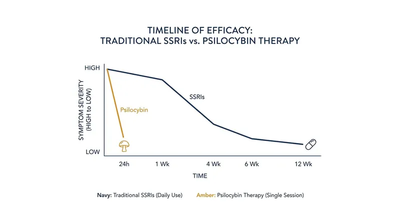 Unlike traditional antidepressants, psilocybin demonstrated a clinically significant reduction in symptoms within 24 hours.