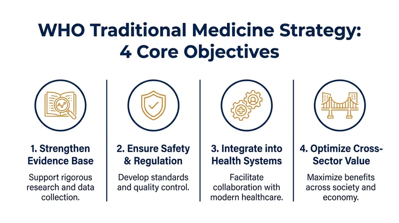 The ten-year framework provides a roadmap for member states to safely incorporate traditional therapies.