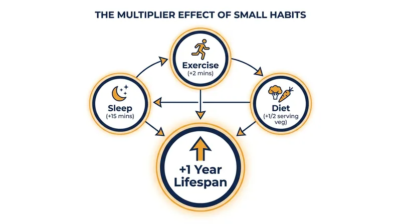 Combining micro-improvements across sleep, diet, and exercise yields longevity benefits greater than the sum of their parts.