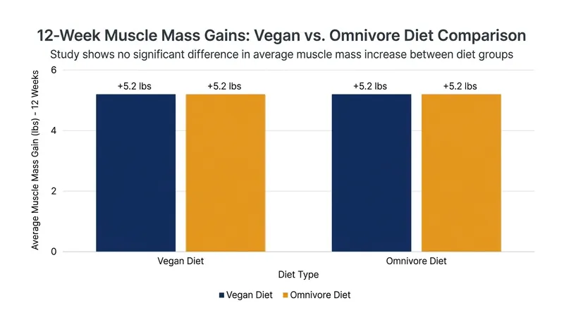 When total daily protein intake is matched, plant-based and omnivorous diets yield identical muscle growth.