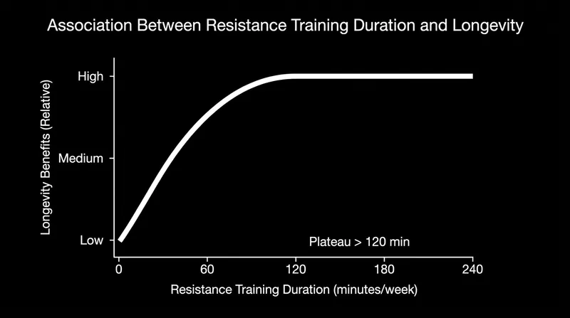 The reverse J-curve: longevity benefits flatten out entirely after 120 minutes of weekly resistance training.