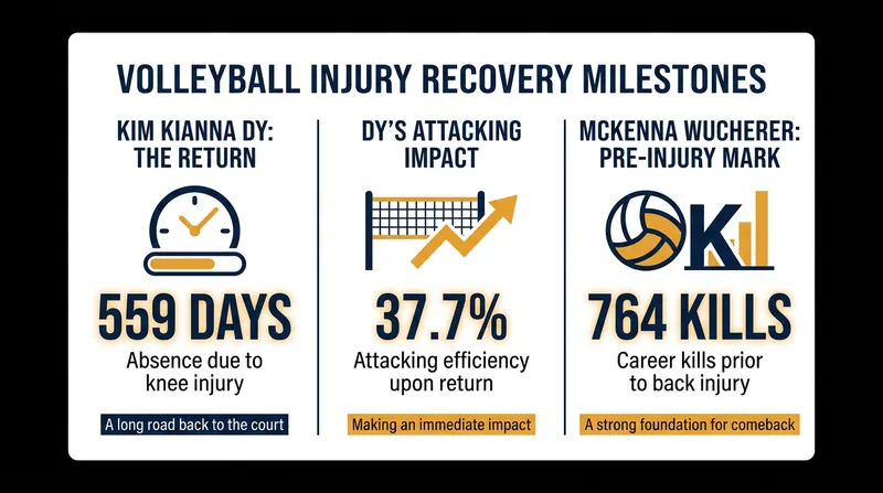 By the numbers: The impressive stats behind this summer's biggest volleyball returns.