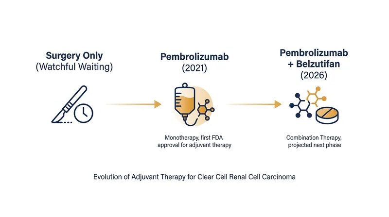 The treatment paradigm for high-risk kidney cancer has rapidly evolved from watchful waiting to dual-mechanism active therapies.