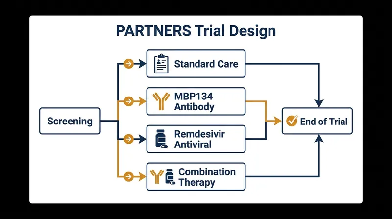 The adaptive platform trial divides patients into four treatment arms to rapidly identify the most effective intervention.