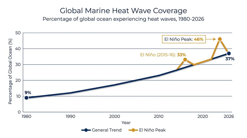 The portion of the global ocean experiencing marine heat waves has more than tripled since the late 1980s.