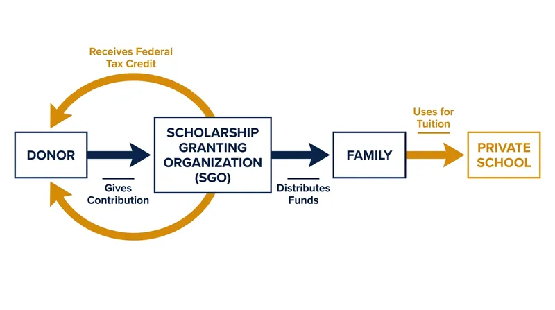 How the federal tax-credit scholarship mechanism routes funds from donors to families.