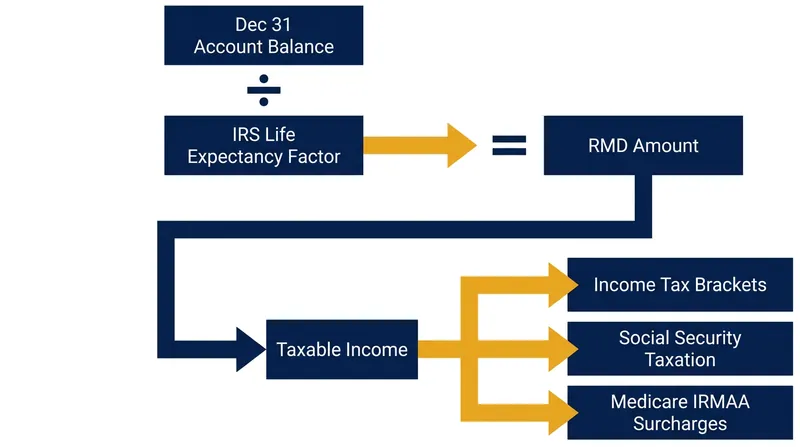 How the RMD formula translates market gains into cascading tax liabilities.