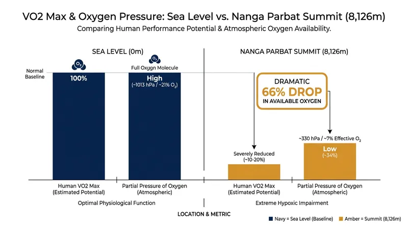 The physiological toll: Available oxygen drops by roughly two-thirds at the summit of Nanga Parbat.