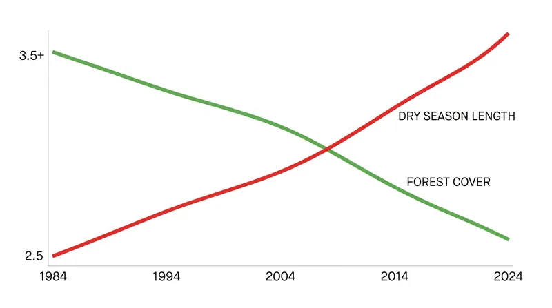 As forest cover declines, the dry season in the southern and eastern Amazon has lengthened significantly.