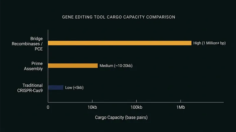 The evolution of gene editing cargo capacity, from single-letter cuts to million-base-pair replacements.