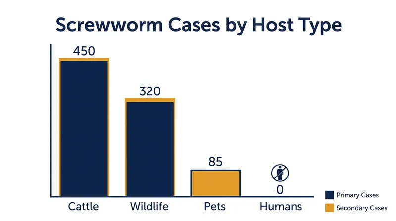 The vast majority of confirmed screwworm cases have occurred in livestock and wildlife, with zero locally acquired human cases.