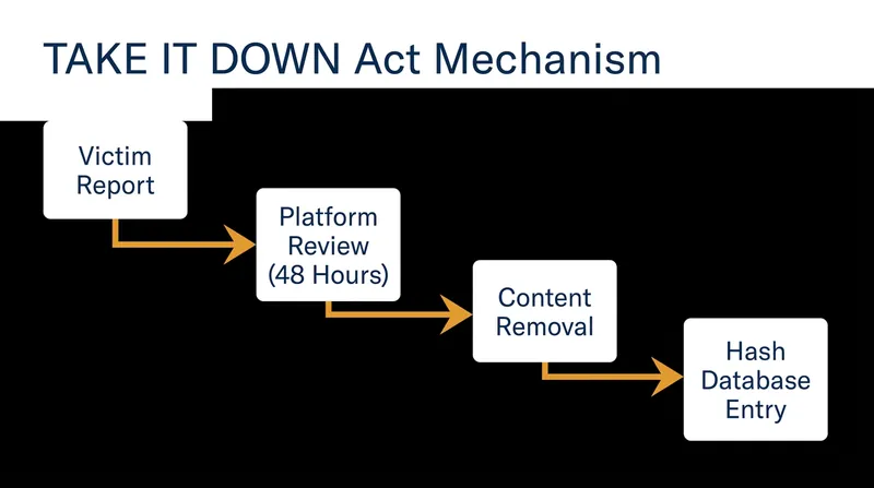 The mandated 48-hour notice-and-takedown pipeline for non-consensual intimate imagery.