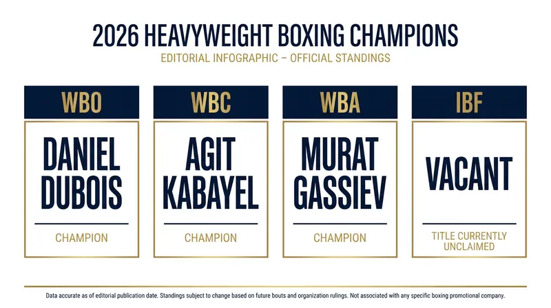 The current landscape of the four major heavyweight world championships.