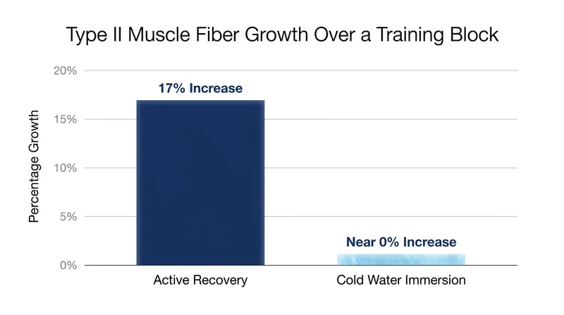 Data from The Journal of Physiology demonstrates how cold water immersion can stall the growth of fast-twitch muscle fibers.