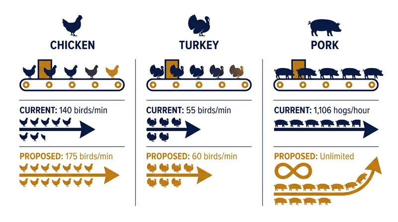 Proposed changes to federal meat processing speed limits.