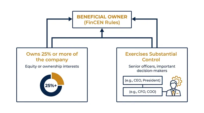 FinCEN defines a beneficial owner through two distinct prongs: equity ownership and substantial control.