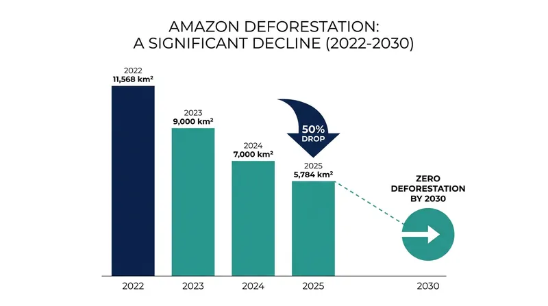 Stricter enforcement and satellite monitoring have driven a 50% reduction in Amazon deforestation over the past two years.