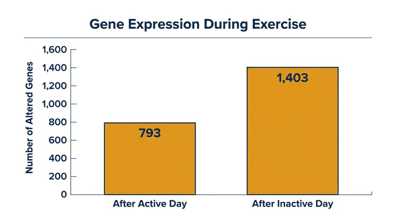 Skeletal muscle was forced to alter the expression of nearly twice as many genes to complete the workout following a sedentary day.